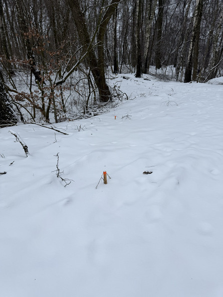 Zdjęcie przebudowywanego zwałwiska