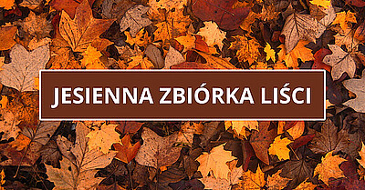 Jesienna zbiórka liści - napis a tle liści w jesiennych barwach
