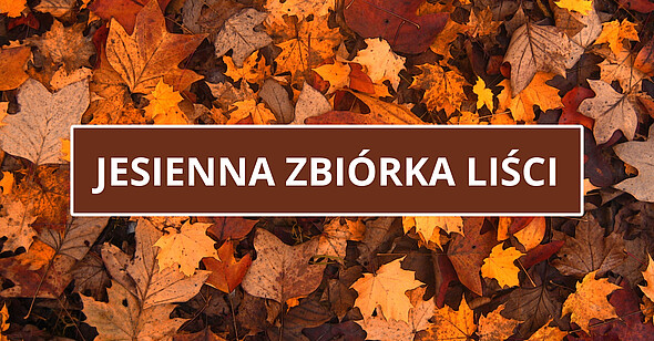 Jesienna zbiórka liści - napis a tle liści w jesiennych barwach