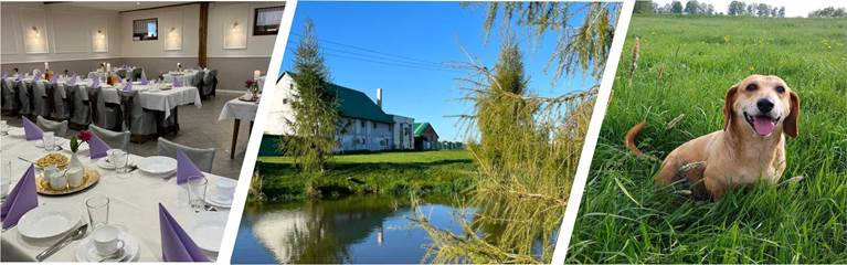 Kolarz zdjęć. Widok sali restauracyjnej. Widok na biały budynek, a przed nim staw i zieleń. Ostatnie zdjęcie pies w wysokiej trawie.
